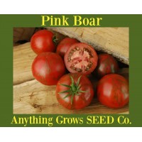 Tomato - Pink Boar - Organic